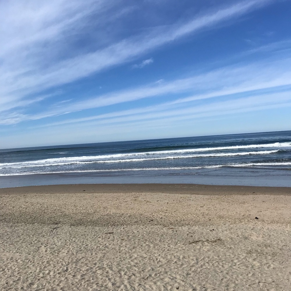 Meet your Posher, Maya